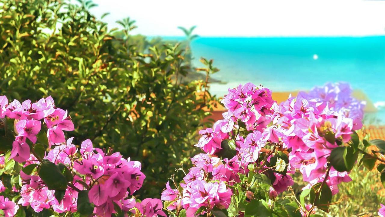 Adria Arba Apartments Rab Town Dış mekan fotoğraf